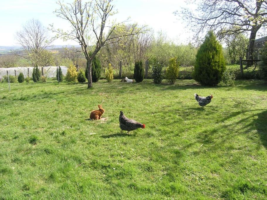 Les Jardins Des 3 Provinces- Gite Montcharvot Exterior photo