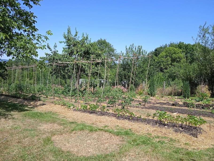 Les Jardins Des 3 Provinces- Gite Montcharvot Exterior photo